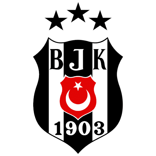 Takım Logo